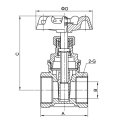 Valve de porte en laiton à soupape pleine femelle 200psi